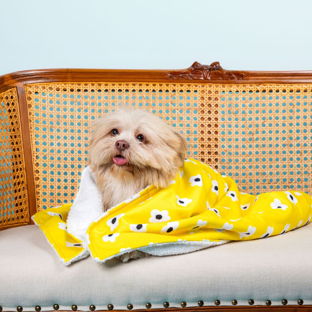 Warm Daisy Pet Blanket Petsway