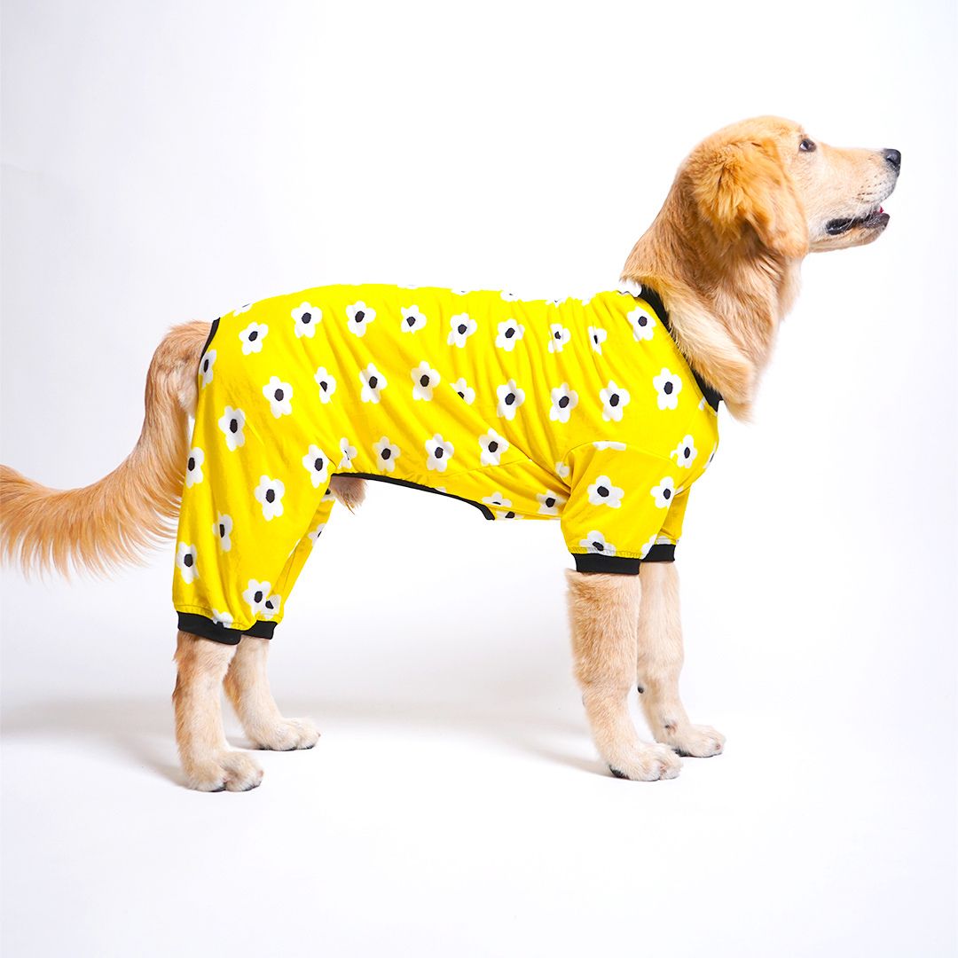 standing dog wear Daisy Printed Dog Jumpsuit-petsway