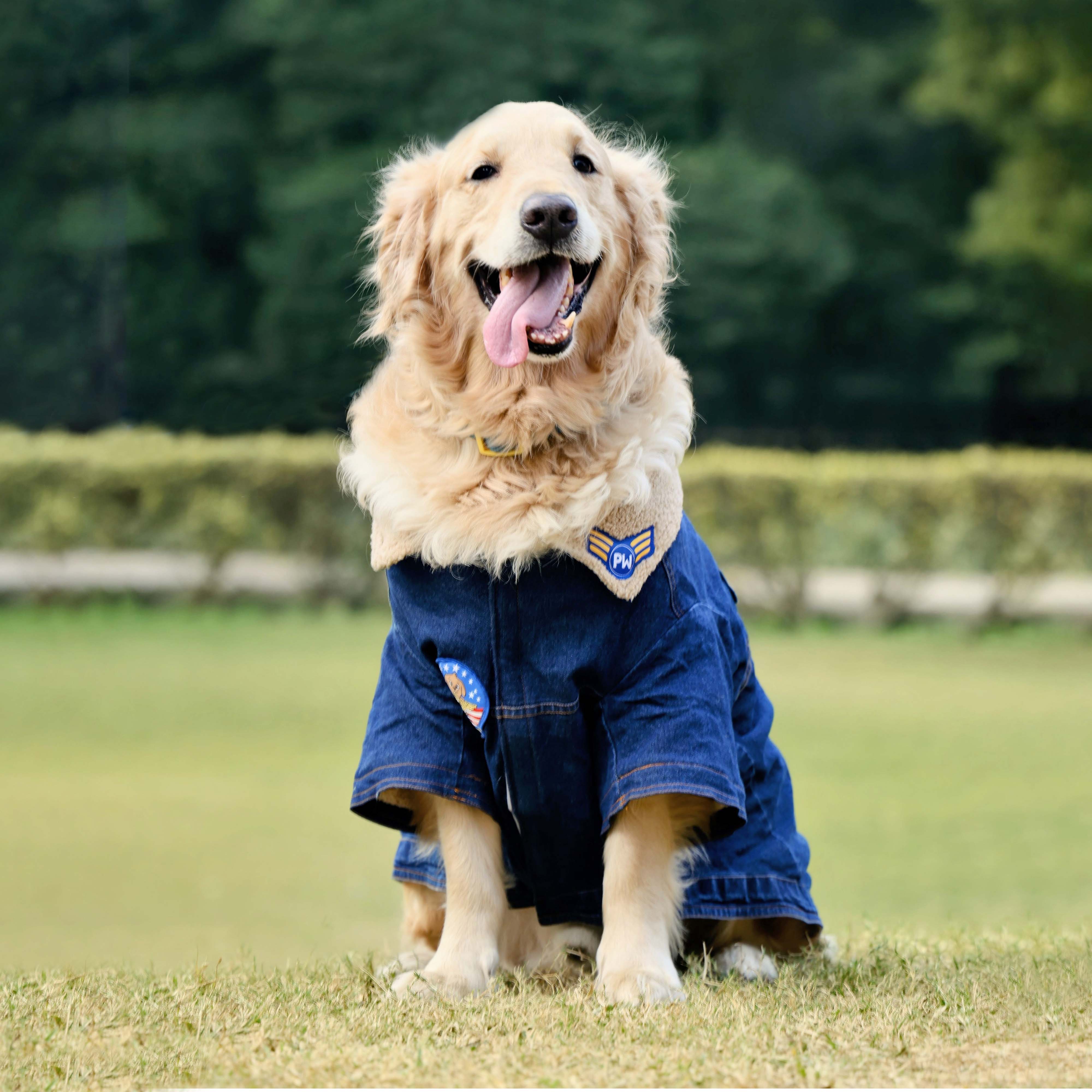 Paw-Gun Marine Denim Dog Jacket