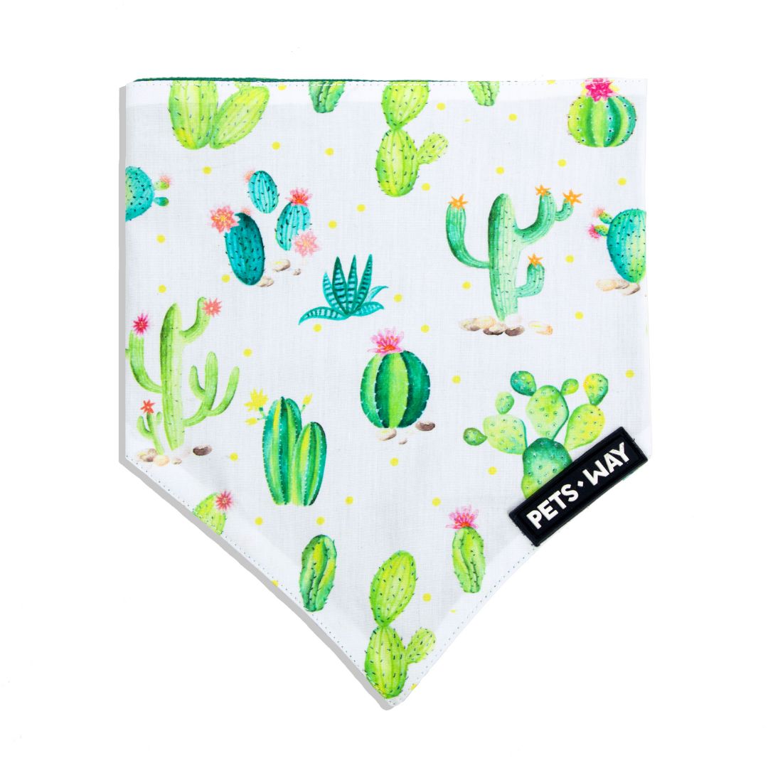 front of Desert-Grass Bandana-petsway