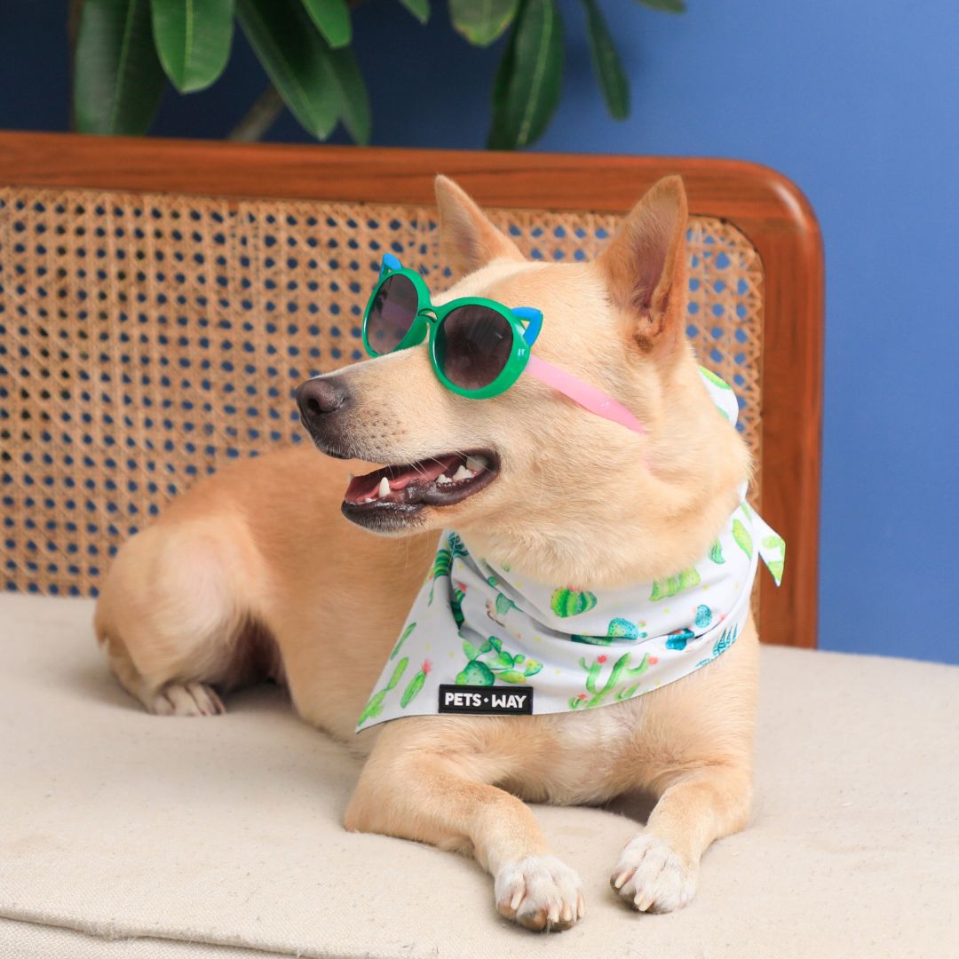 dog wear Desert-Grass Bandana-petsway