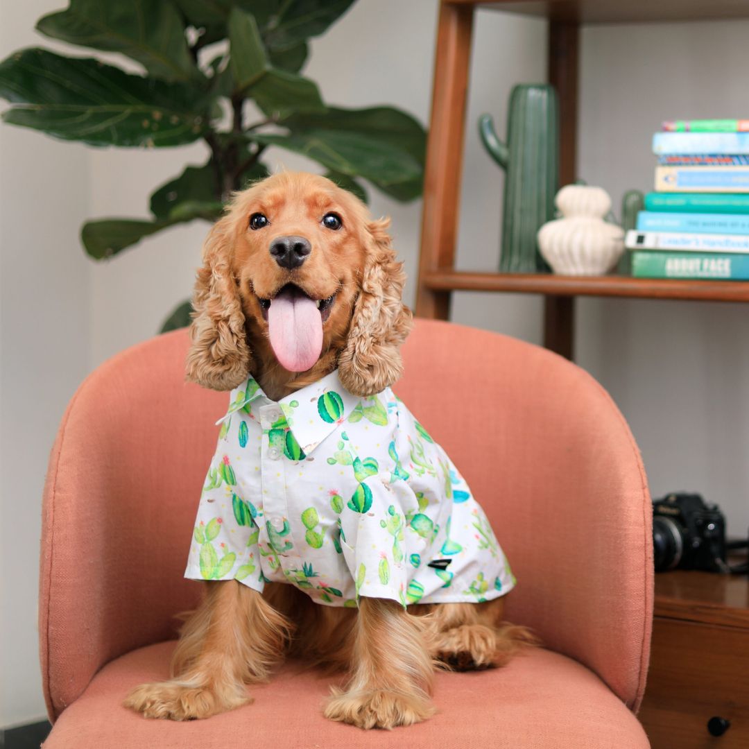 dog wear Desert-Grass Dog Shirt-petsway