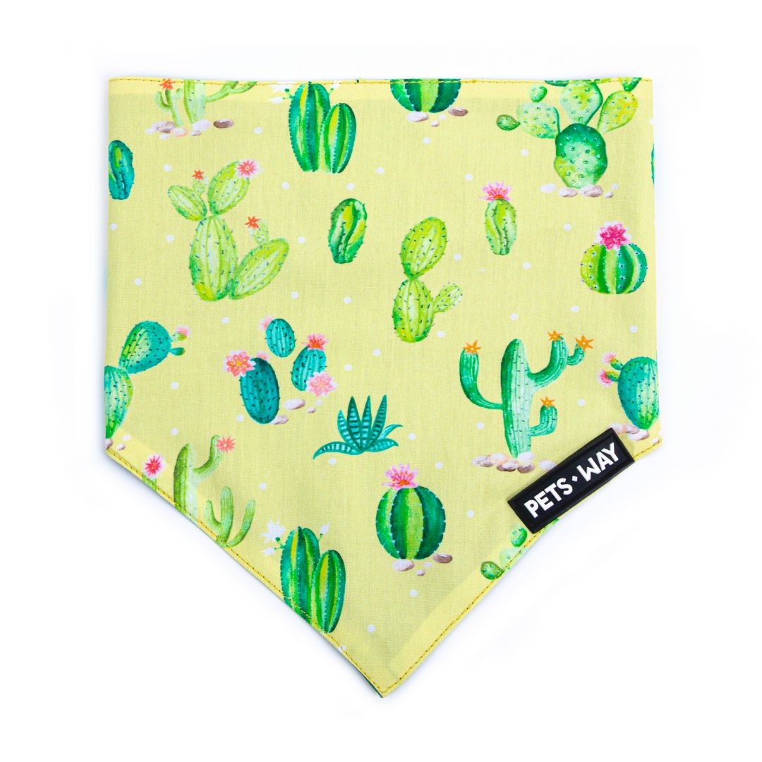 front of Desert-Lime Bandana-petsway