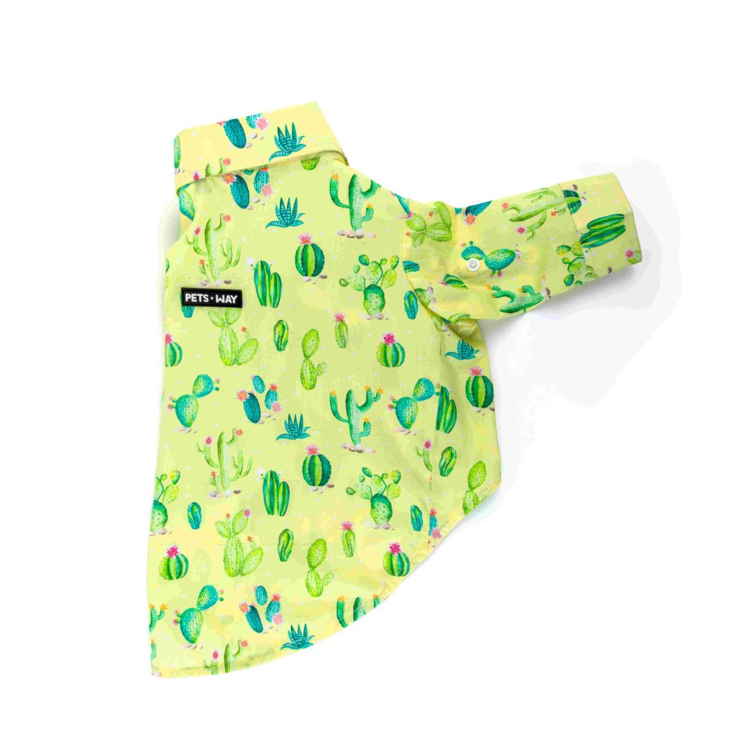 sleeve of  Desert-Lime Dog Shirt