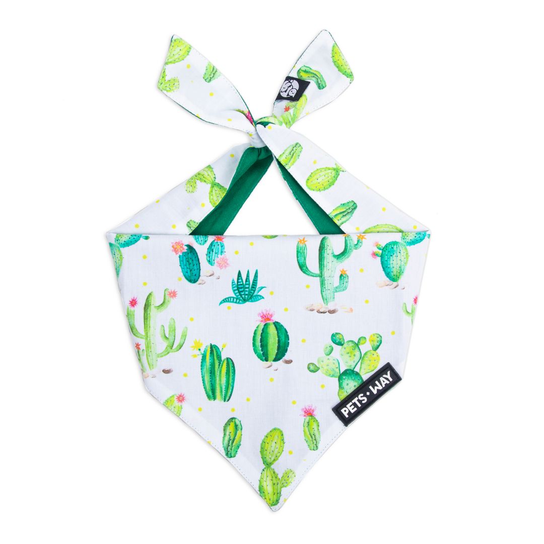 Desert-Grass Bandana-petsway