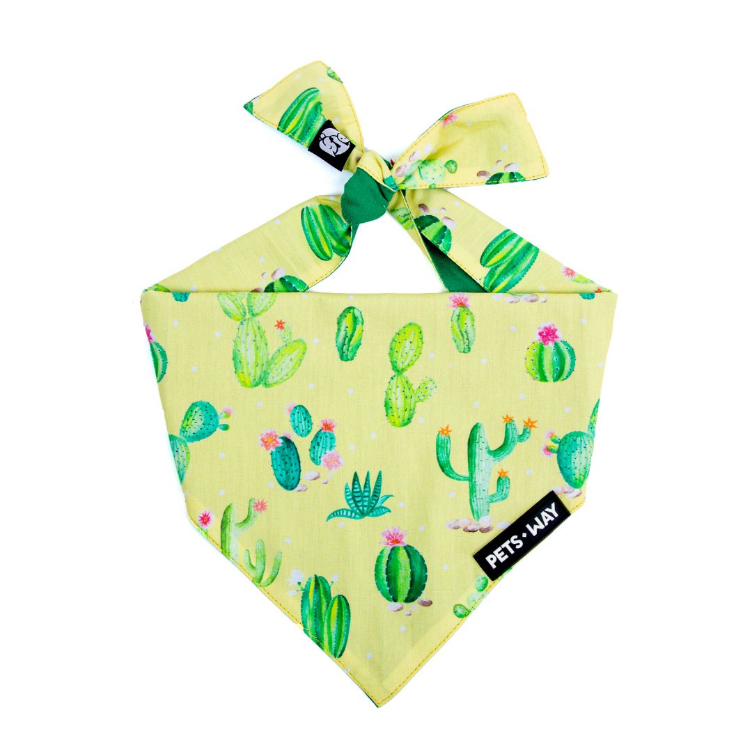 Desert-Lime Bandana-petsway