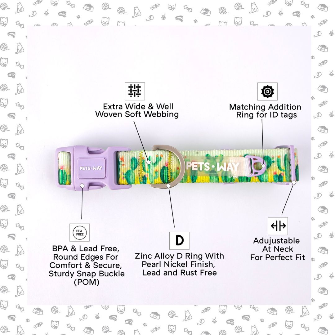 Feature image-ptsway