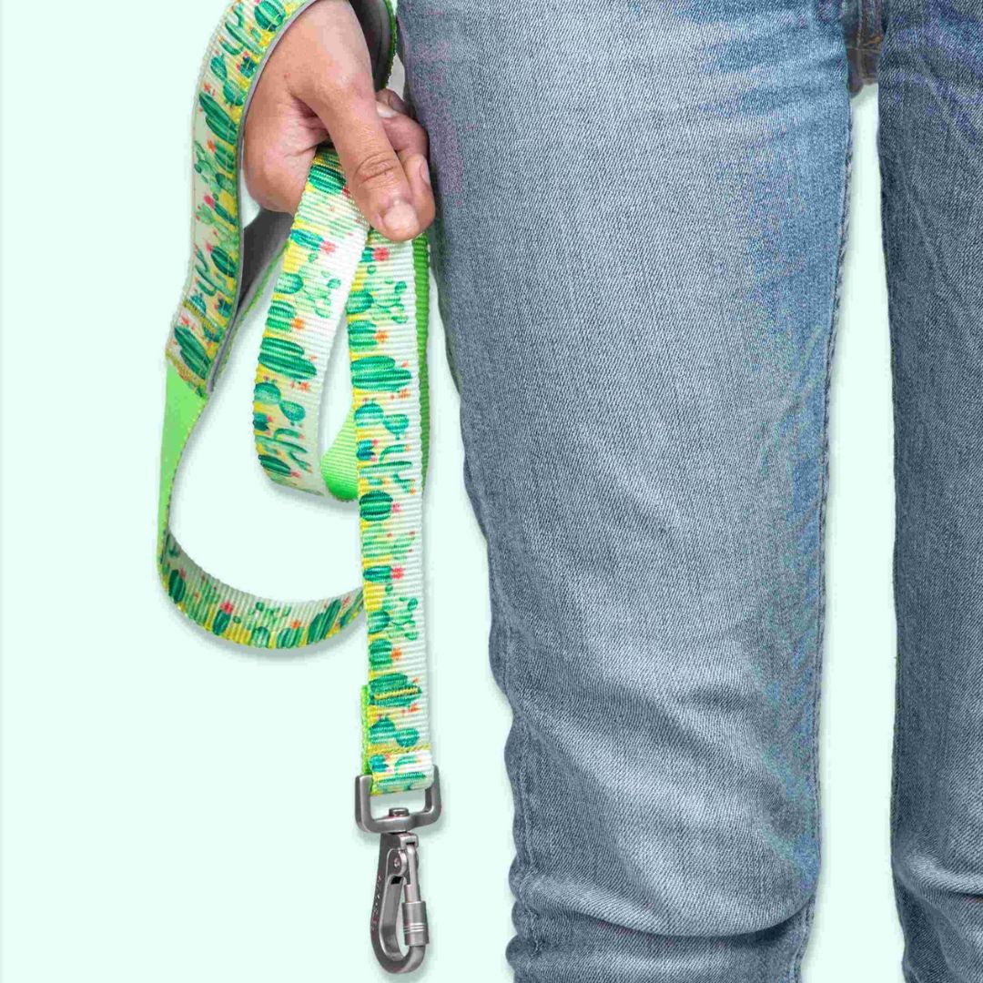 carry Desert Print Dog Leash-petsway