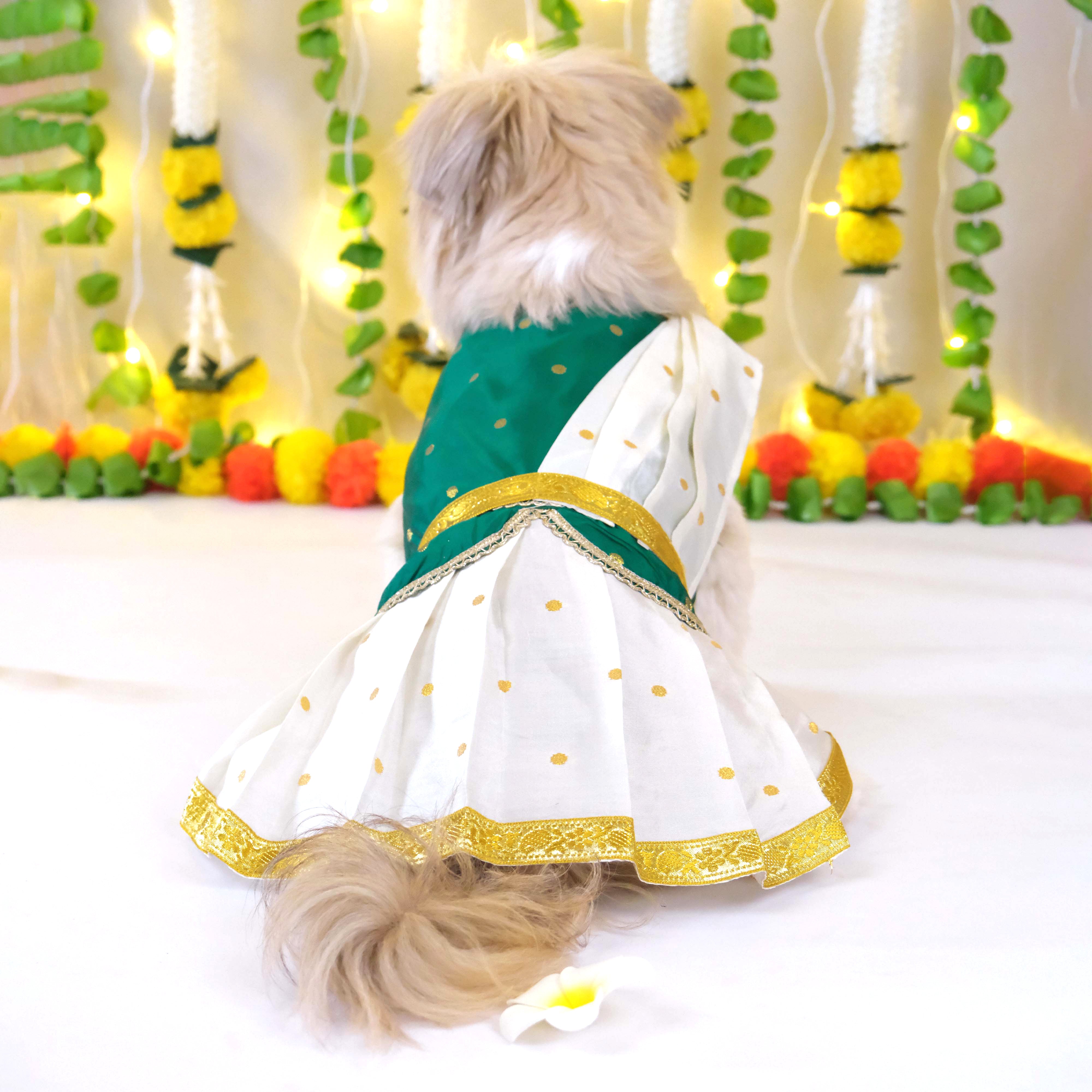 Korvai Dress With Dupatta