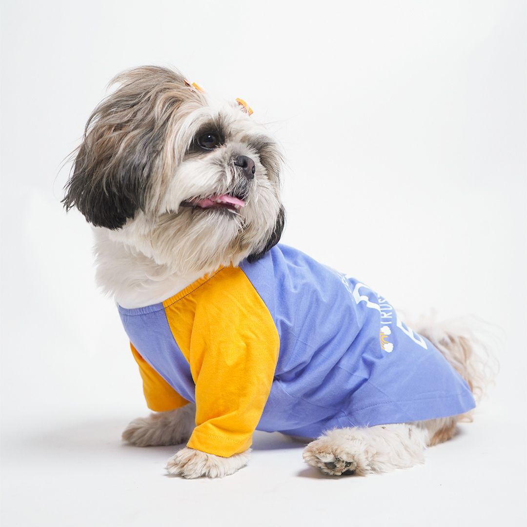 dog wear Dust Blue Dog T-Shirt-petsway