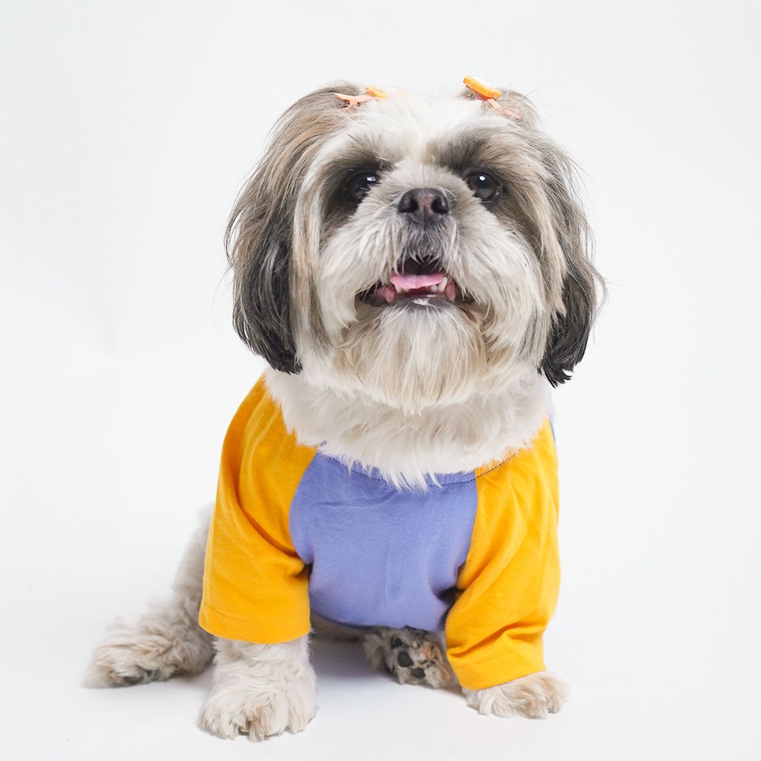 cute dog wear Dust Blue Dog T-Shirt-petsway