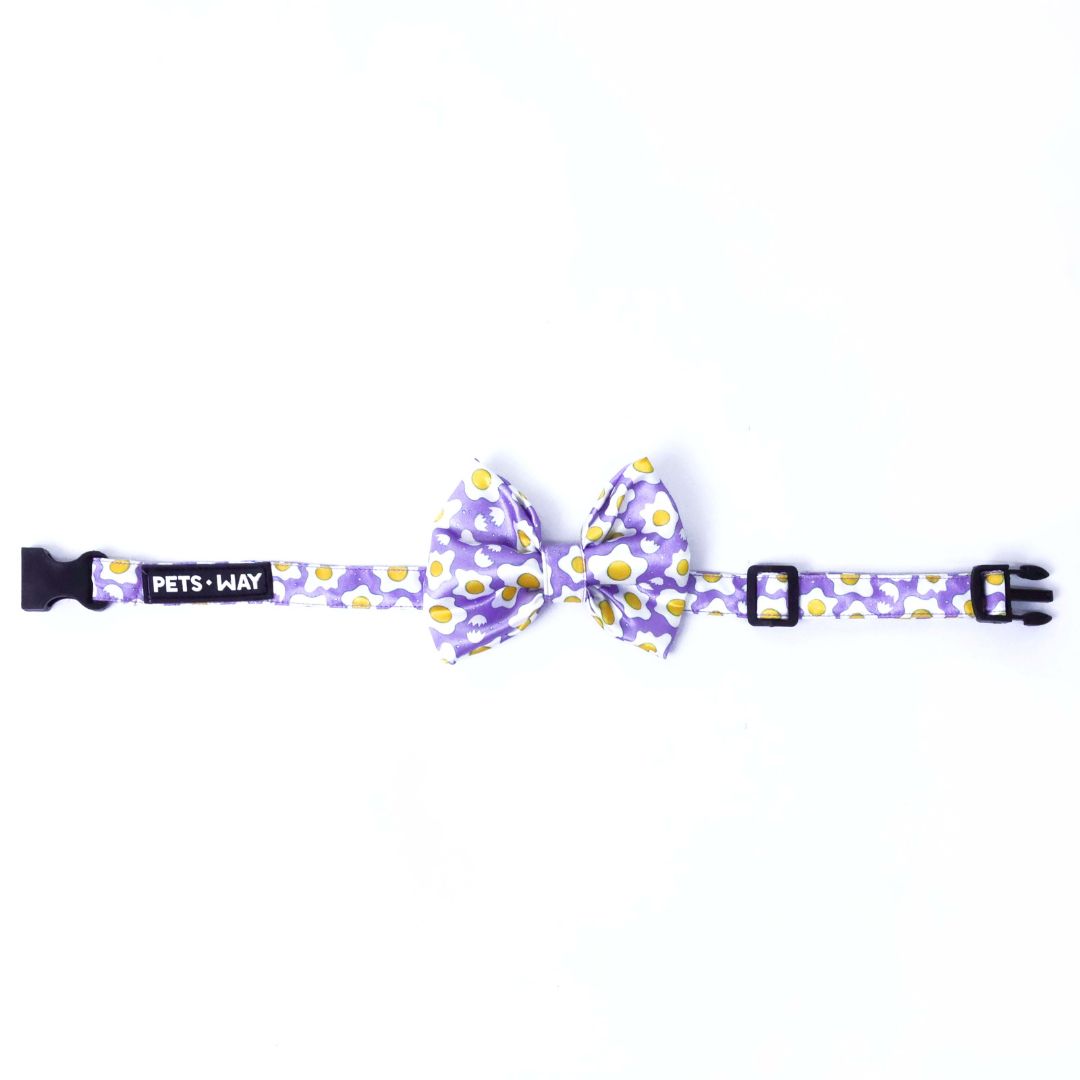 front of Eggy Bow Tie-petsway