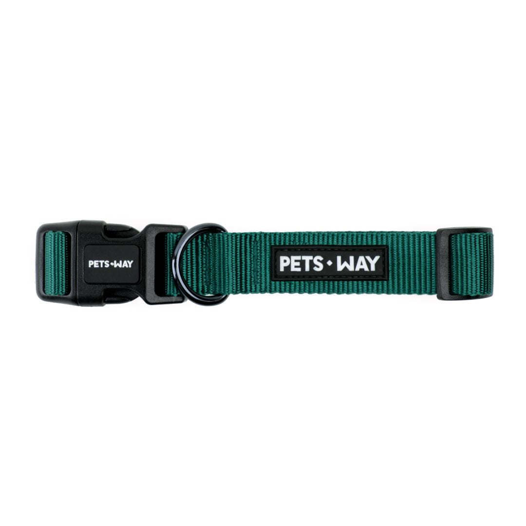 Green dog collar-petsway