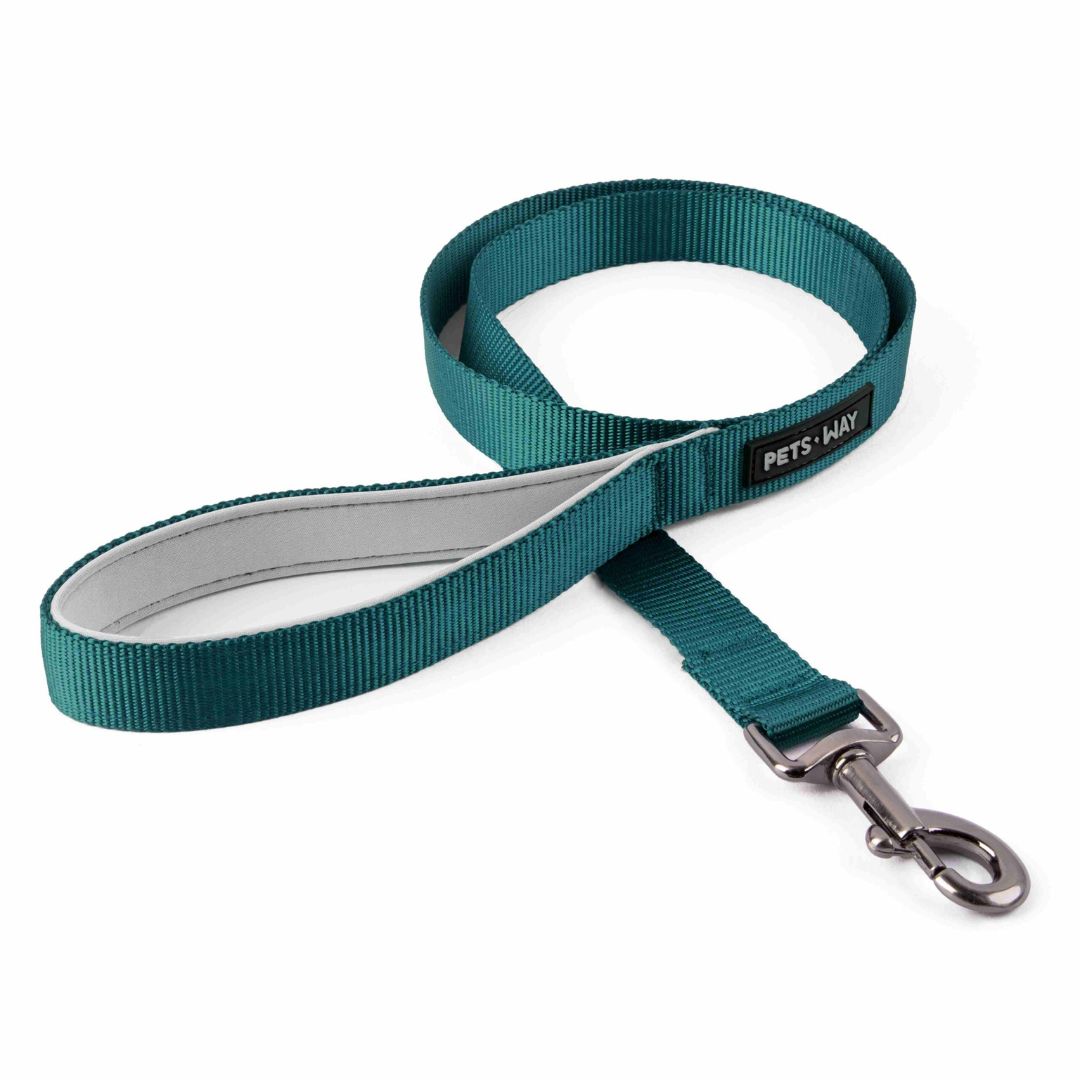 Emerald Dog Leash-petsway
