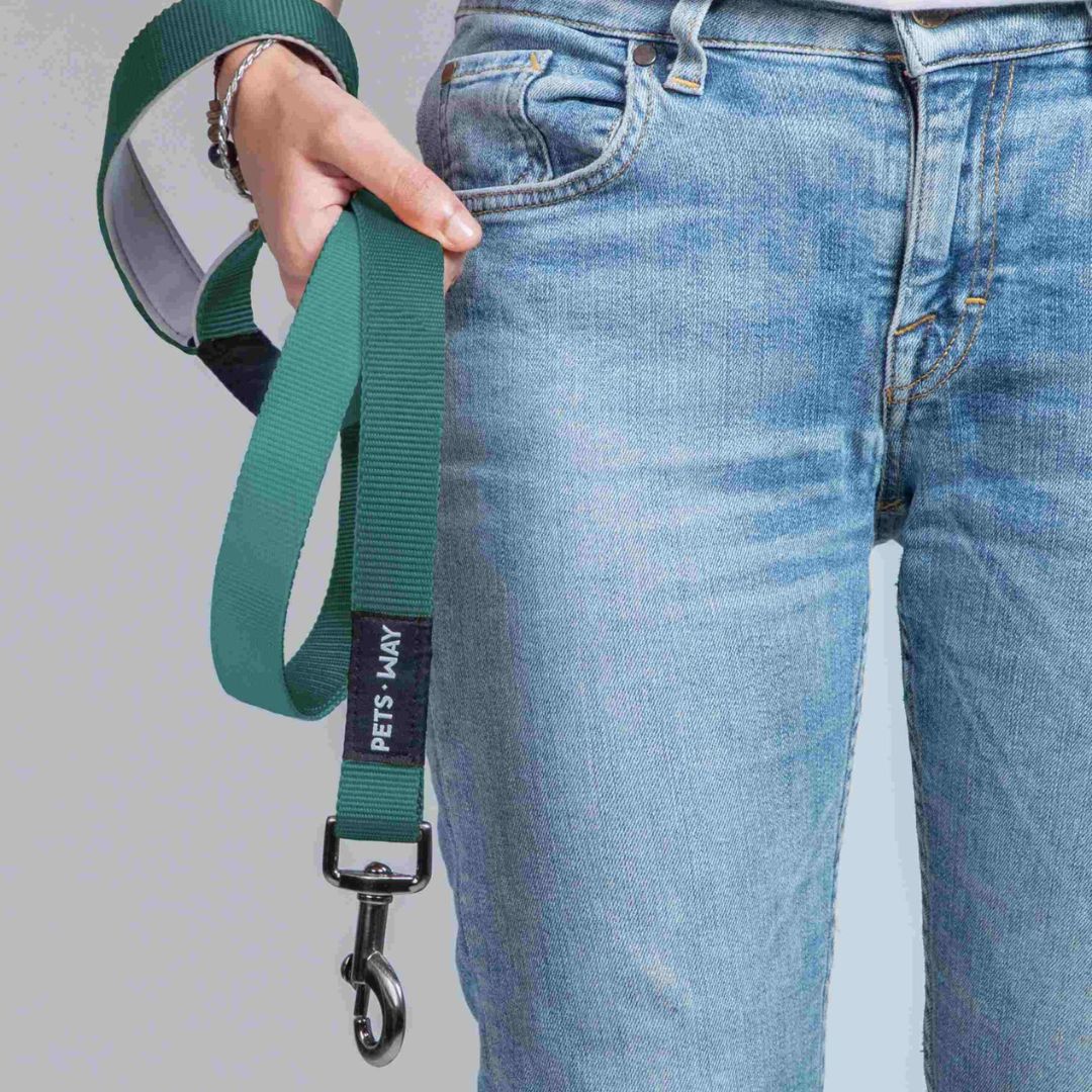 carry Emerald Dog Leash-petsway