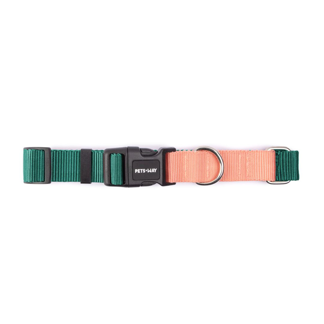 Dual Tone Dog Collar-petsway