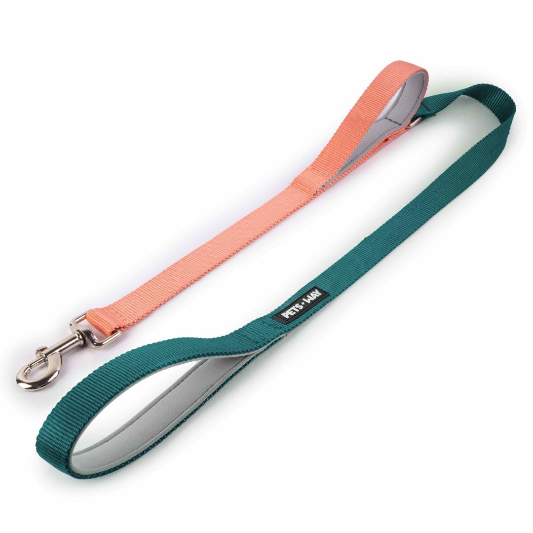 Dual Handle Dog Leash