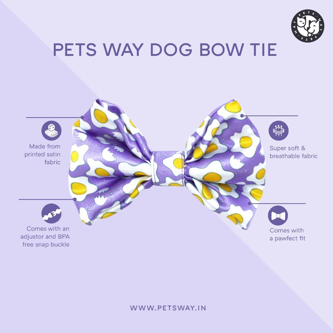 feature image of  printed bow tie-petsway