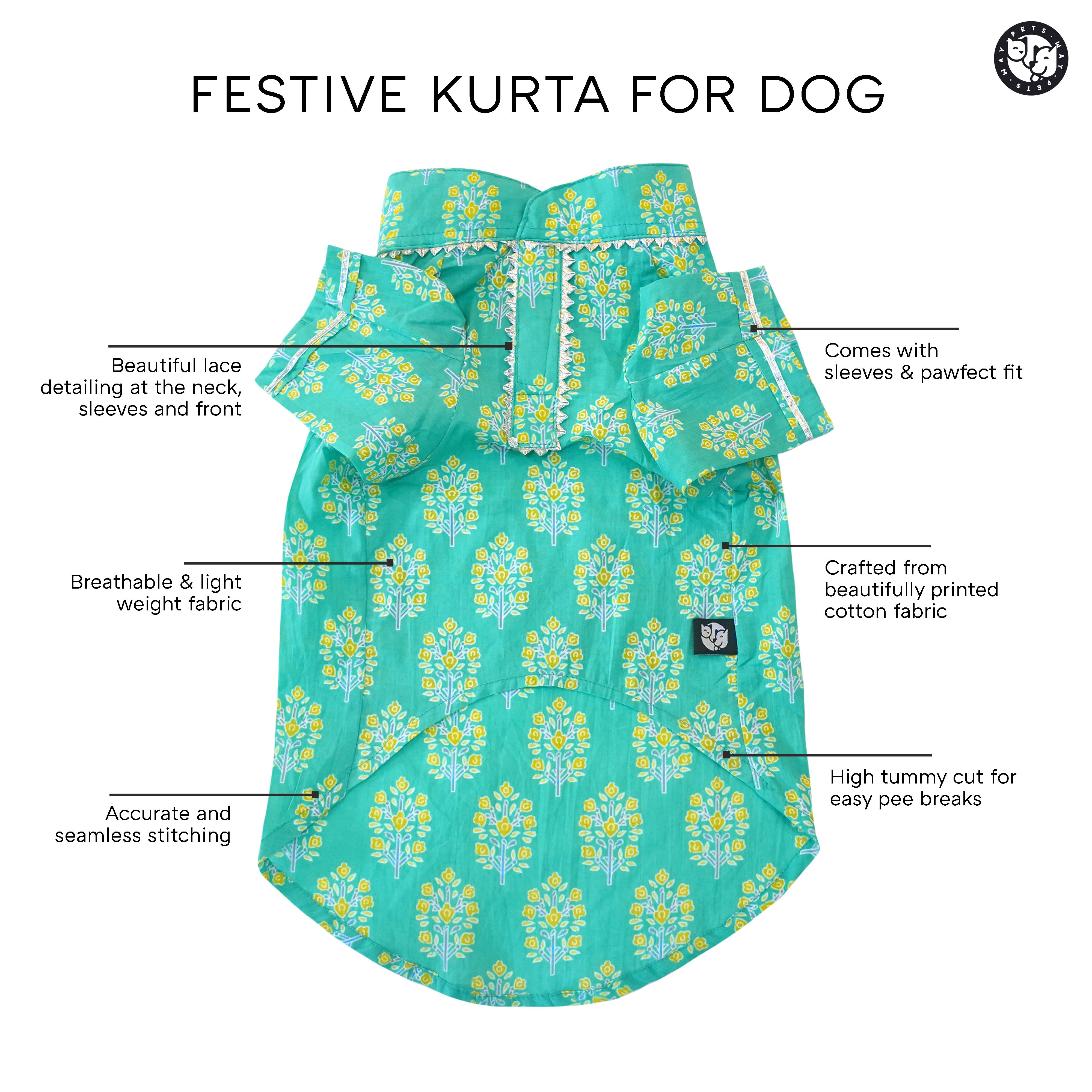 Striped - Teal Dog kurta