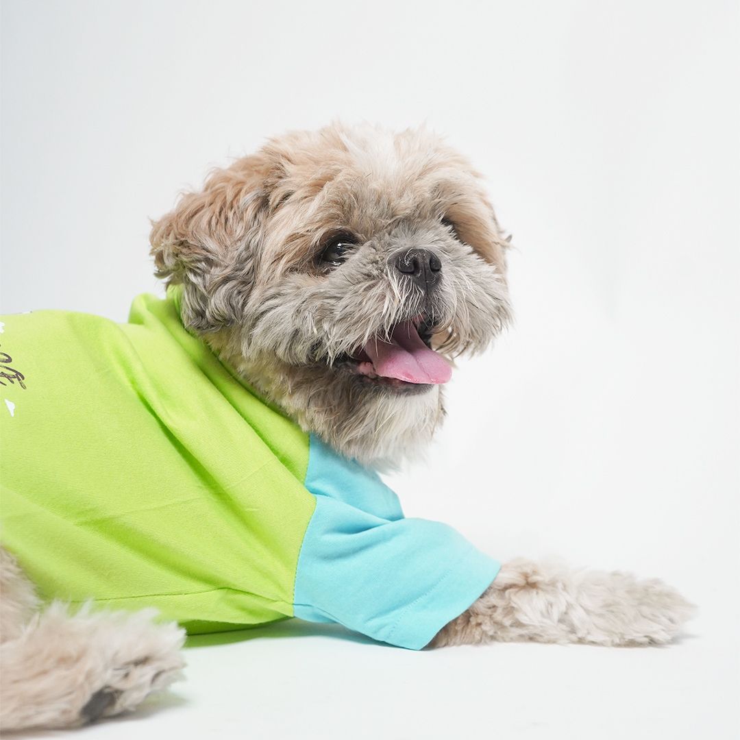 setting dg wear Fern Dog T-Shirt-petswa