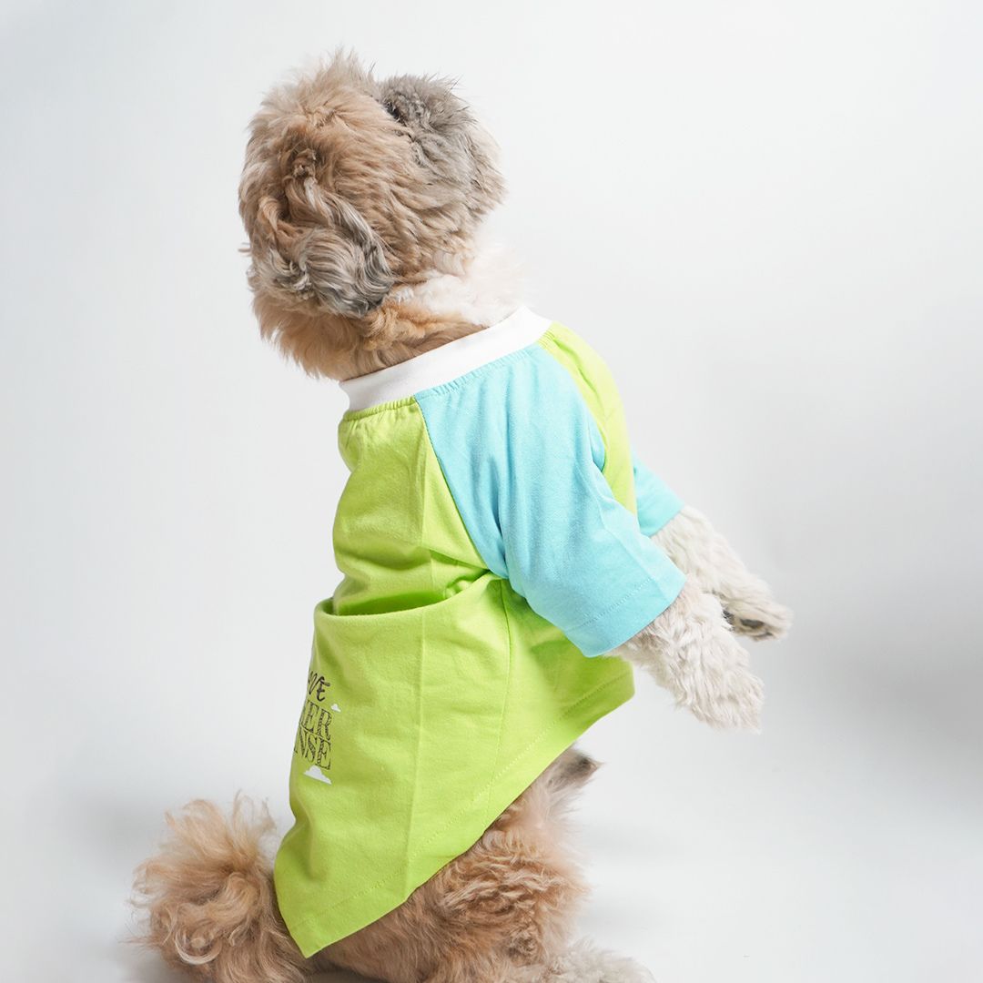 standing dog wear Fern Dog T-Shirt-petsway