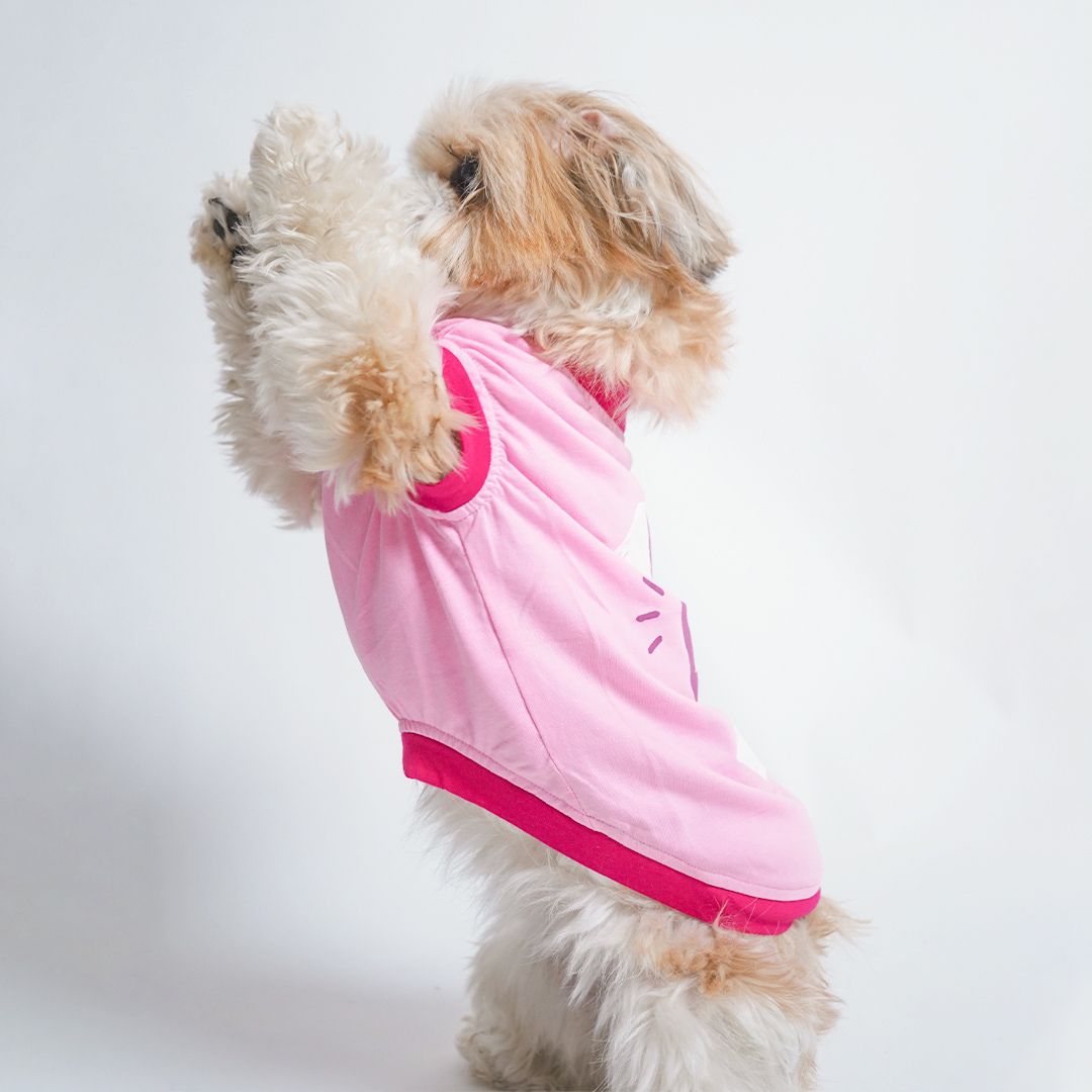 playing dog wear Flamingo Dog T-Shirt-petsway