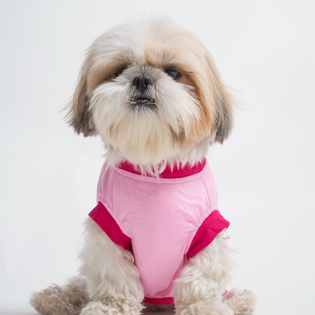 dog wear front side of Flamingo Dog T-Shirt-petsway