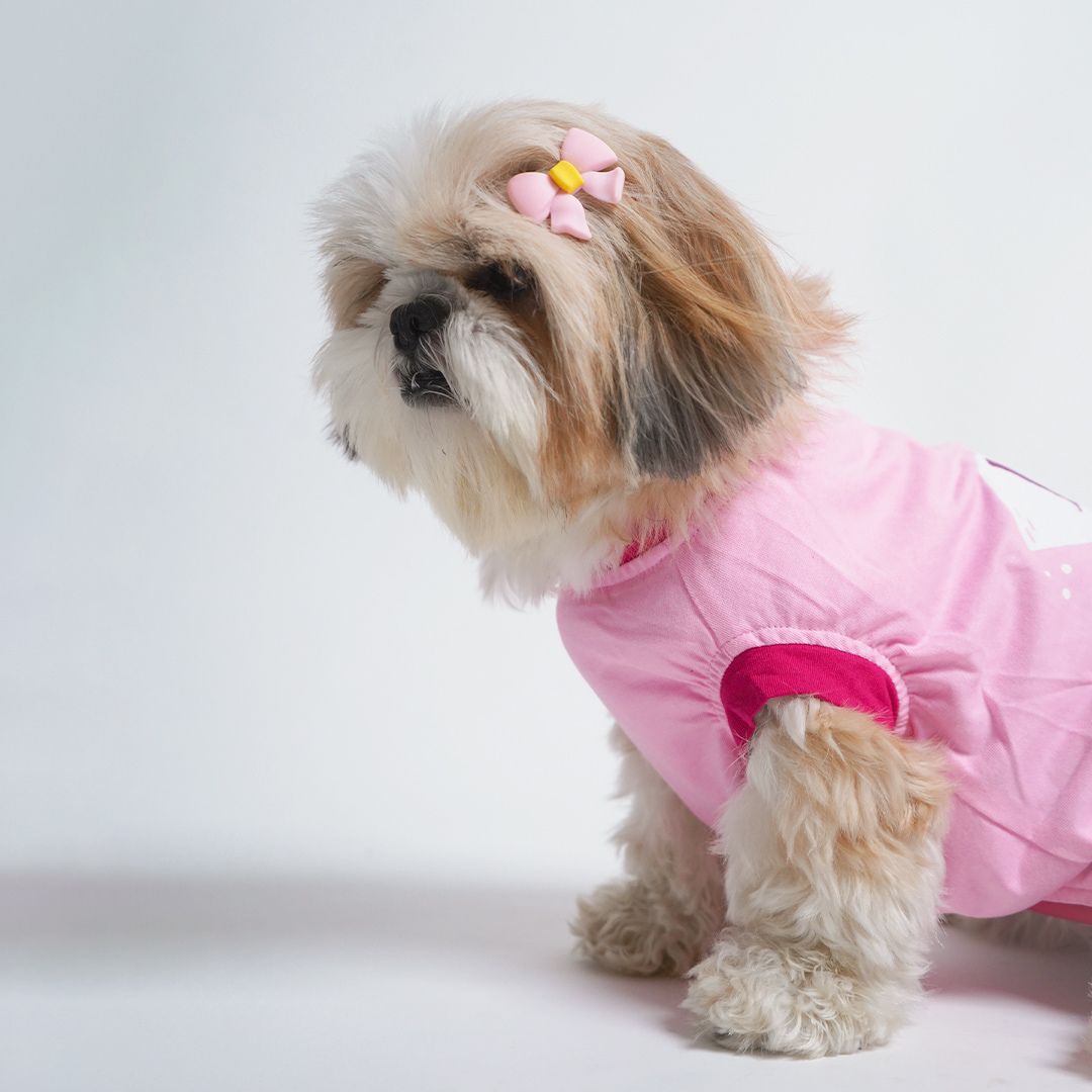 cute dog wear Flamingo Dog T-Shirt-petsway