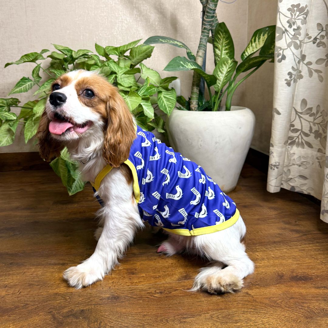 Stylish Dog apparel for fly high vest petsway