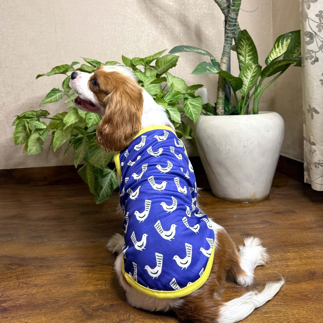 Back of fly high dog vest petsway