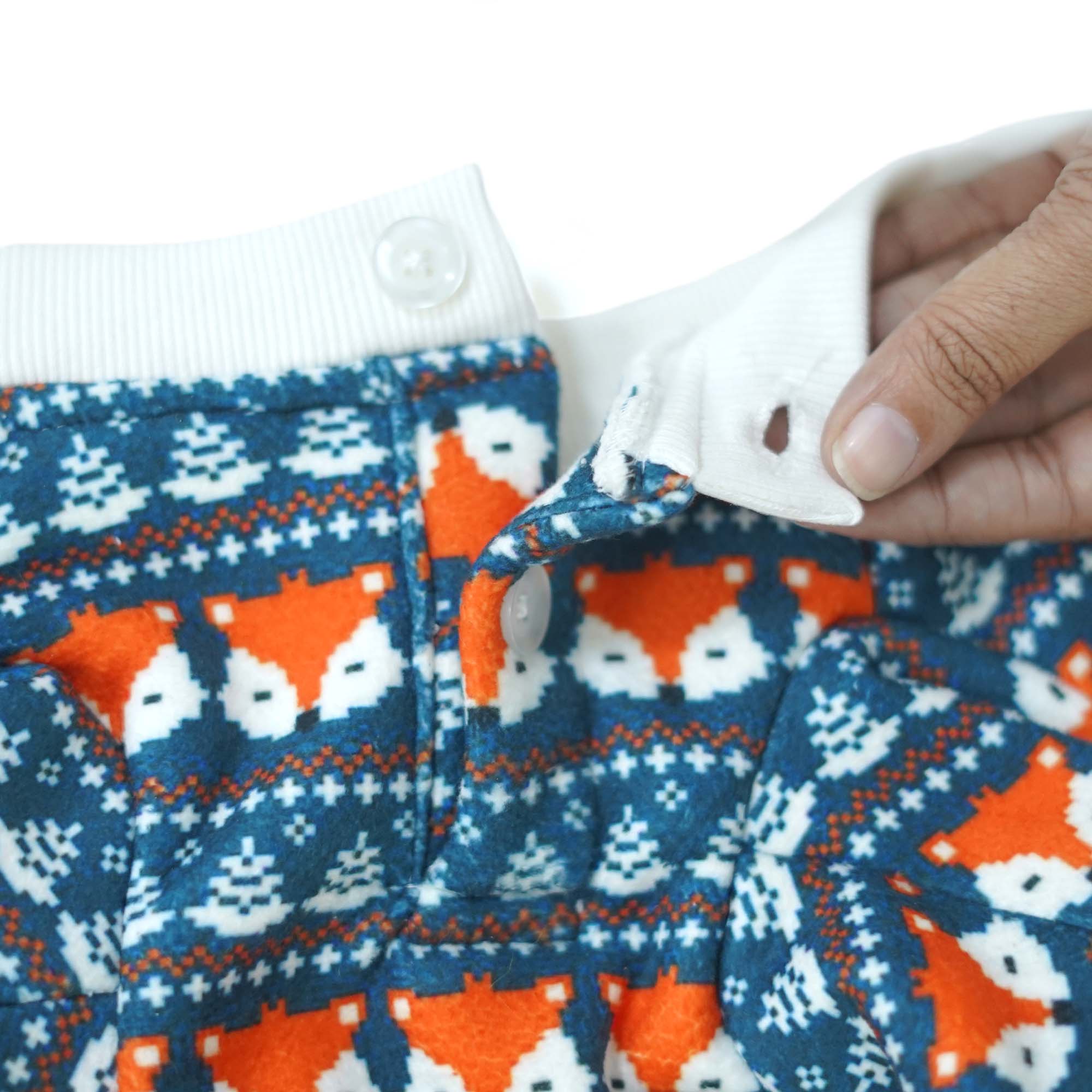 Crazy Foxwagen - Combo