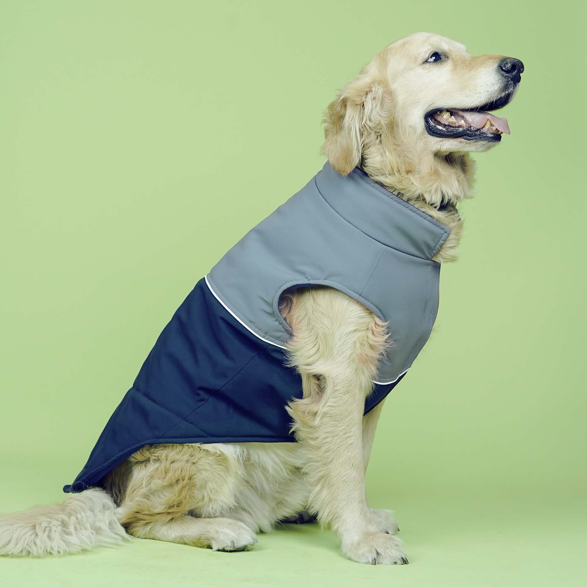 Frost- Navy Dog Jacket