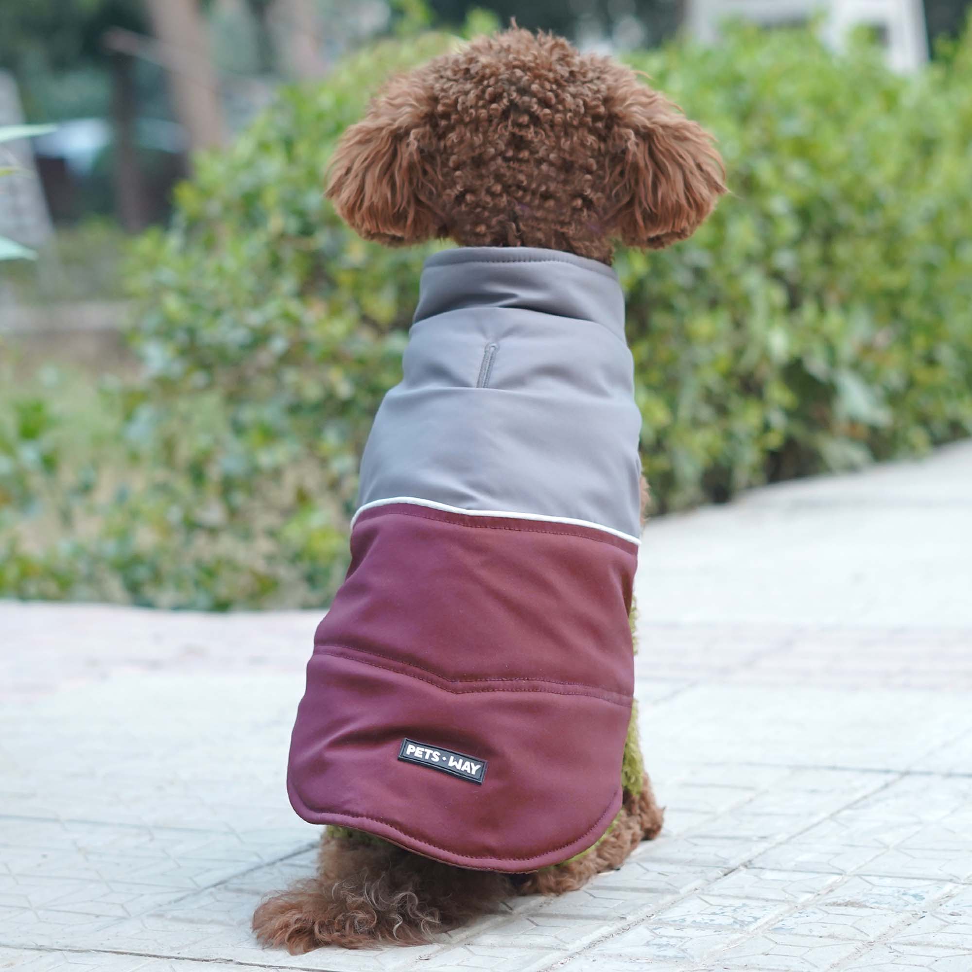 Frost- Wine Dog Jacket