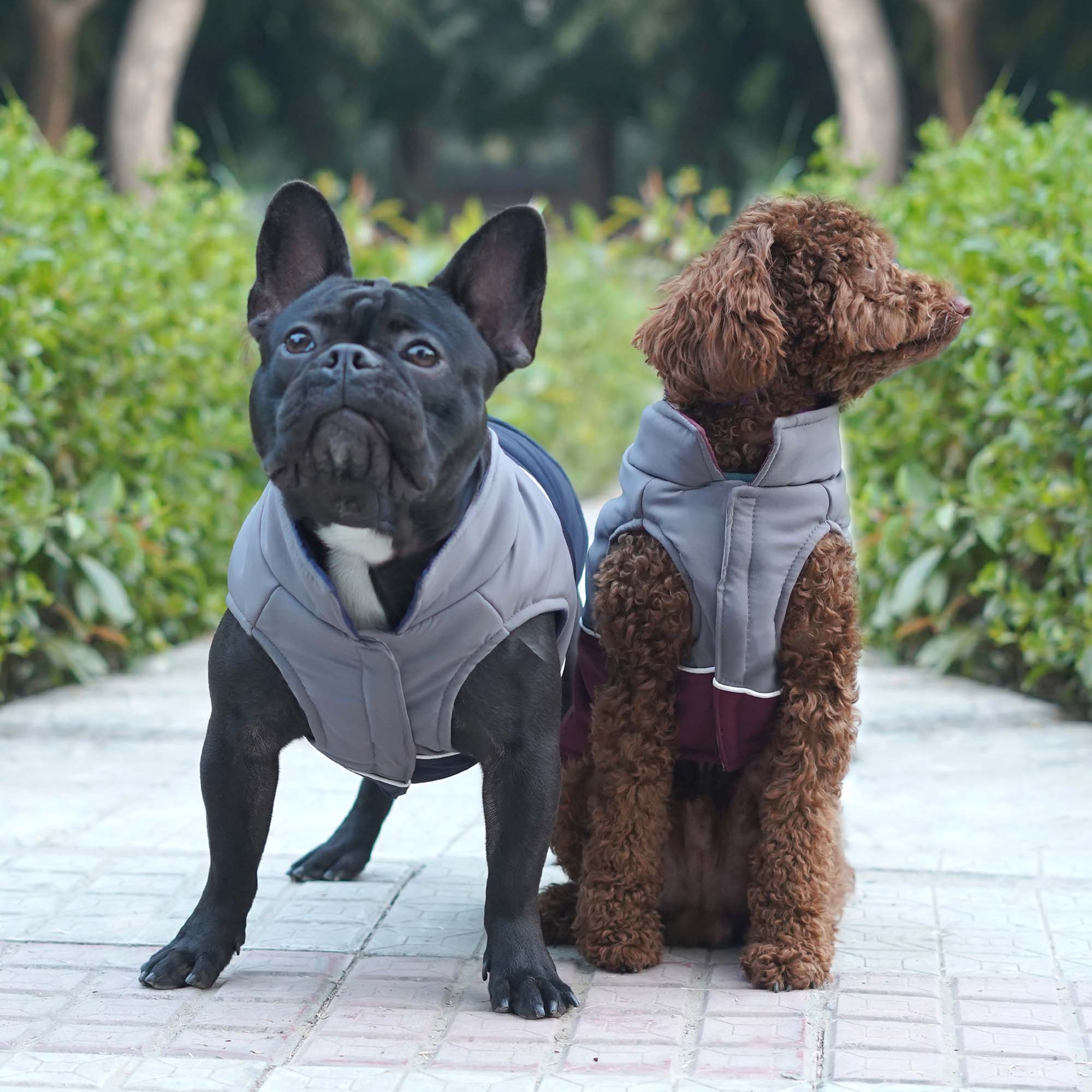 Frost- Navy Dog Jacket