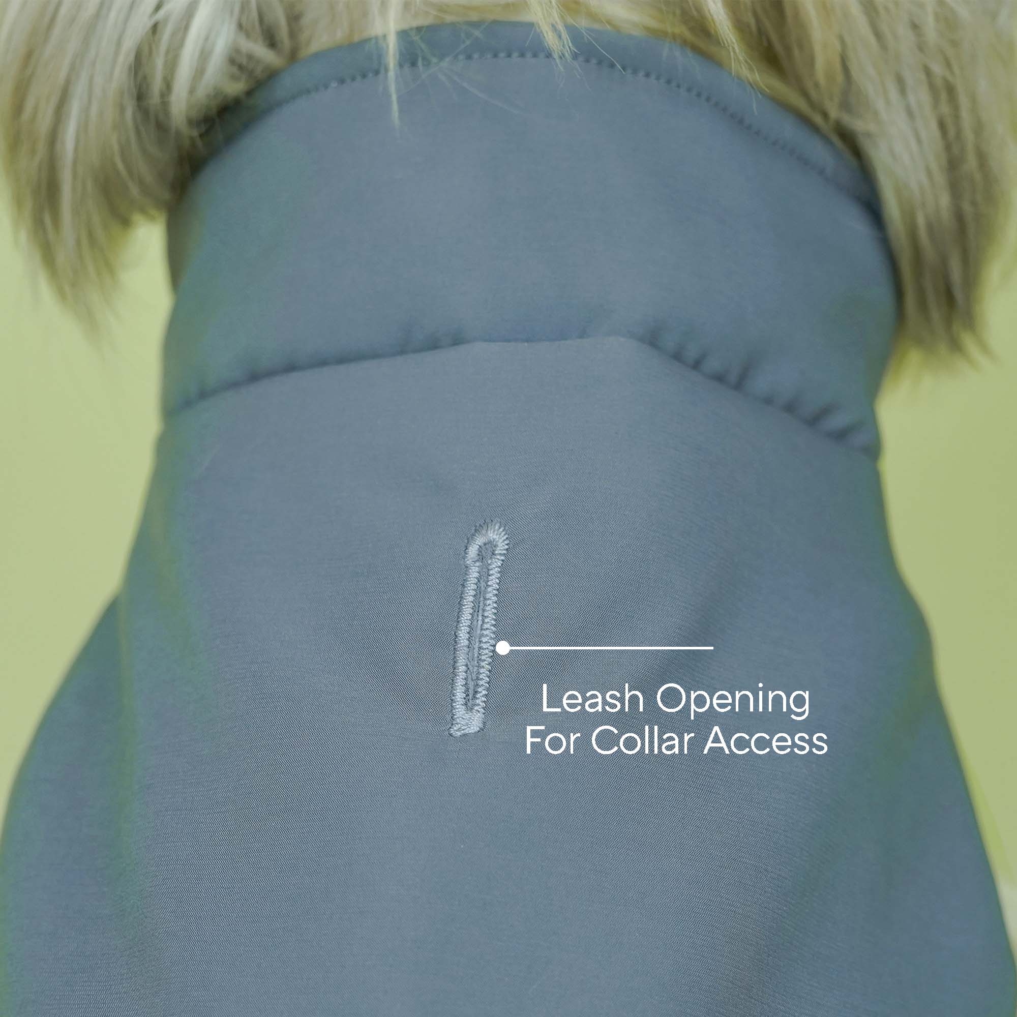 Frost- Grey Dog Jacket