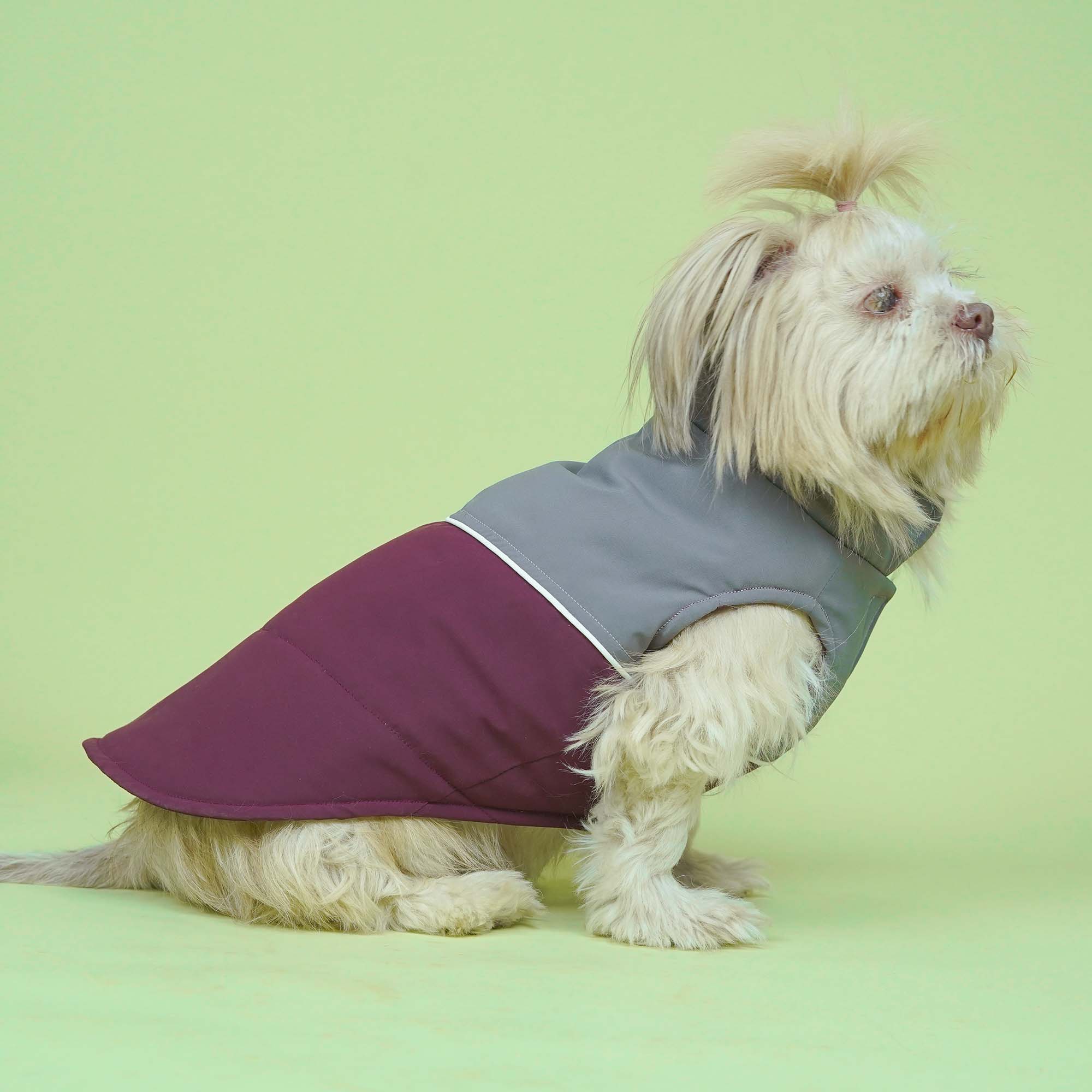 Frost- Wine Dog Jacket