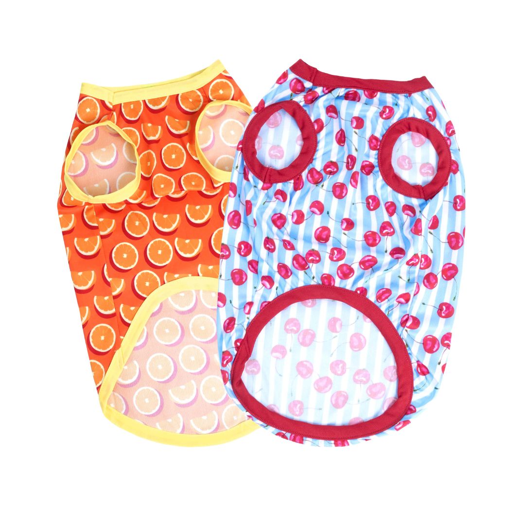 front of Fruity Dog Vest Combo-petsway
