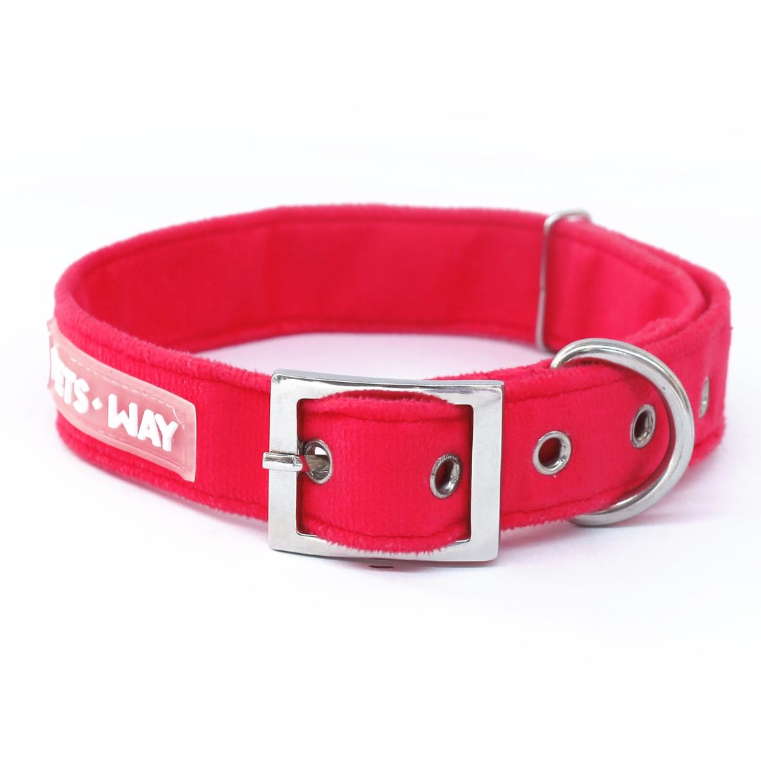 Fuchsia Luxury Velvet Collar-petsway