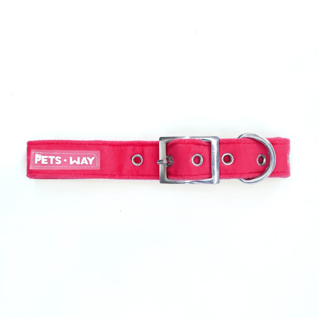 Fuchsia dog collar-petsway