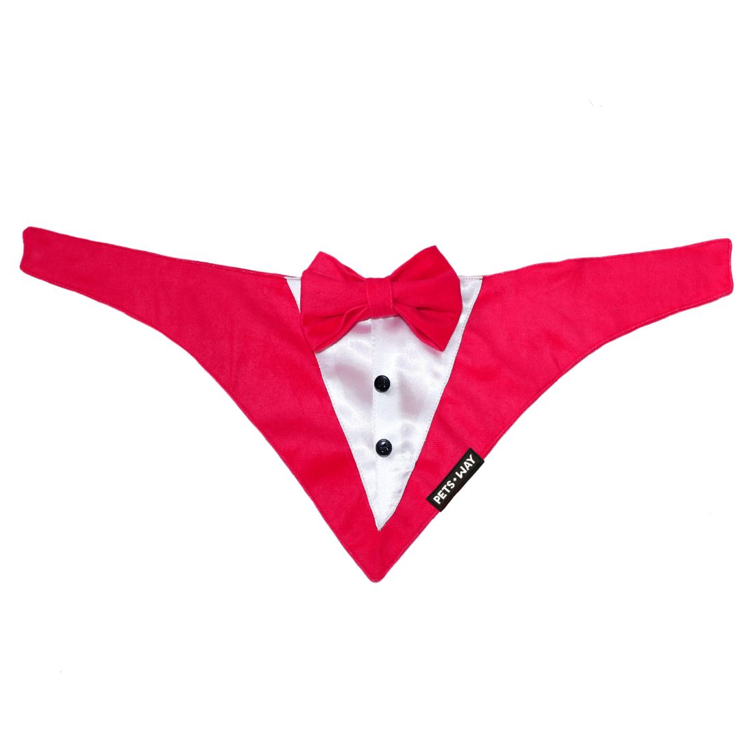 front of Fuchsia Luxury Velvet Tuxedo-petsway