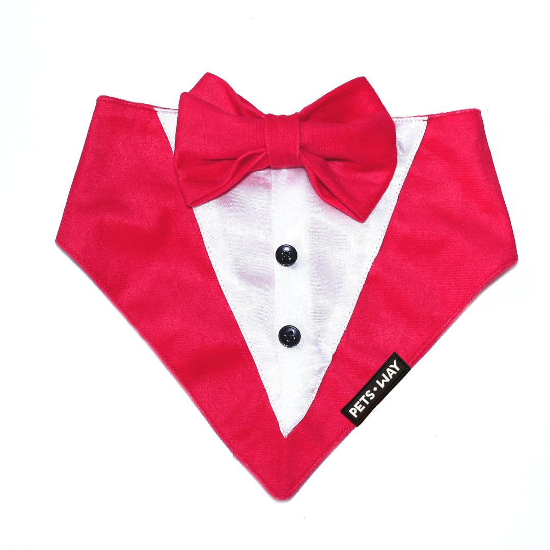 Fuchsia Luxury Velvet Tuxedo-petsway