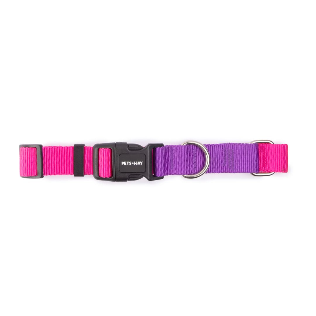 Pink & Purple Dog Collar-petsway