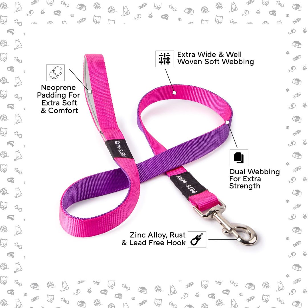 feature image of Fuschia Amethyst Dog Leash-petsway