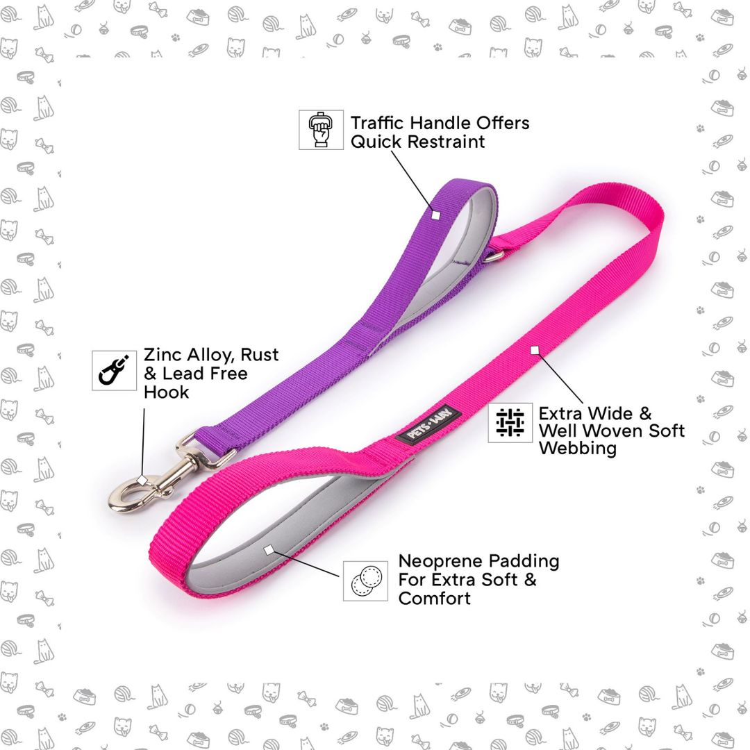 feature image for Fuschia & Amethyst dual-handle dog leash-petsway