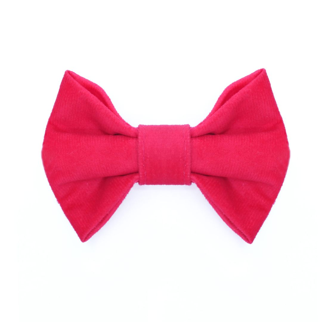Fuschia Luxury Velvet Bow Tie-petsway