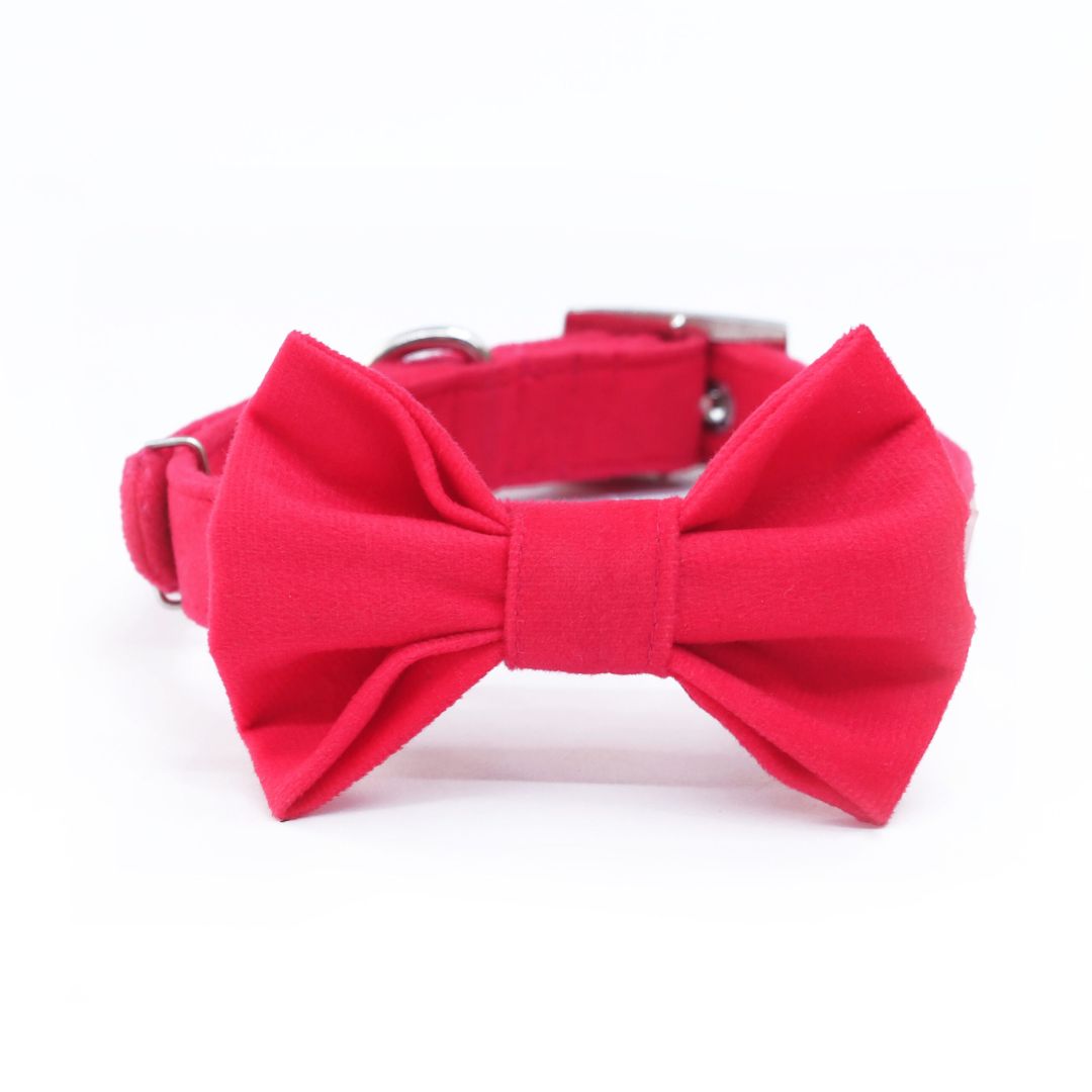 full size of Fuschia Luxury Velvet Bow Tie-petsway