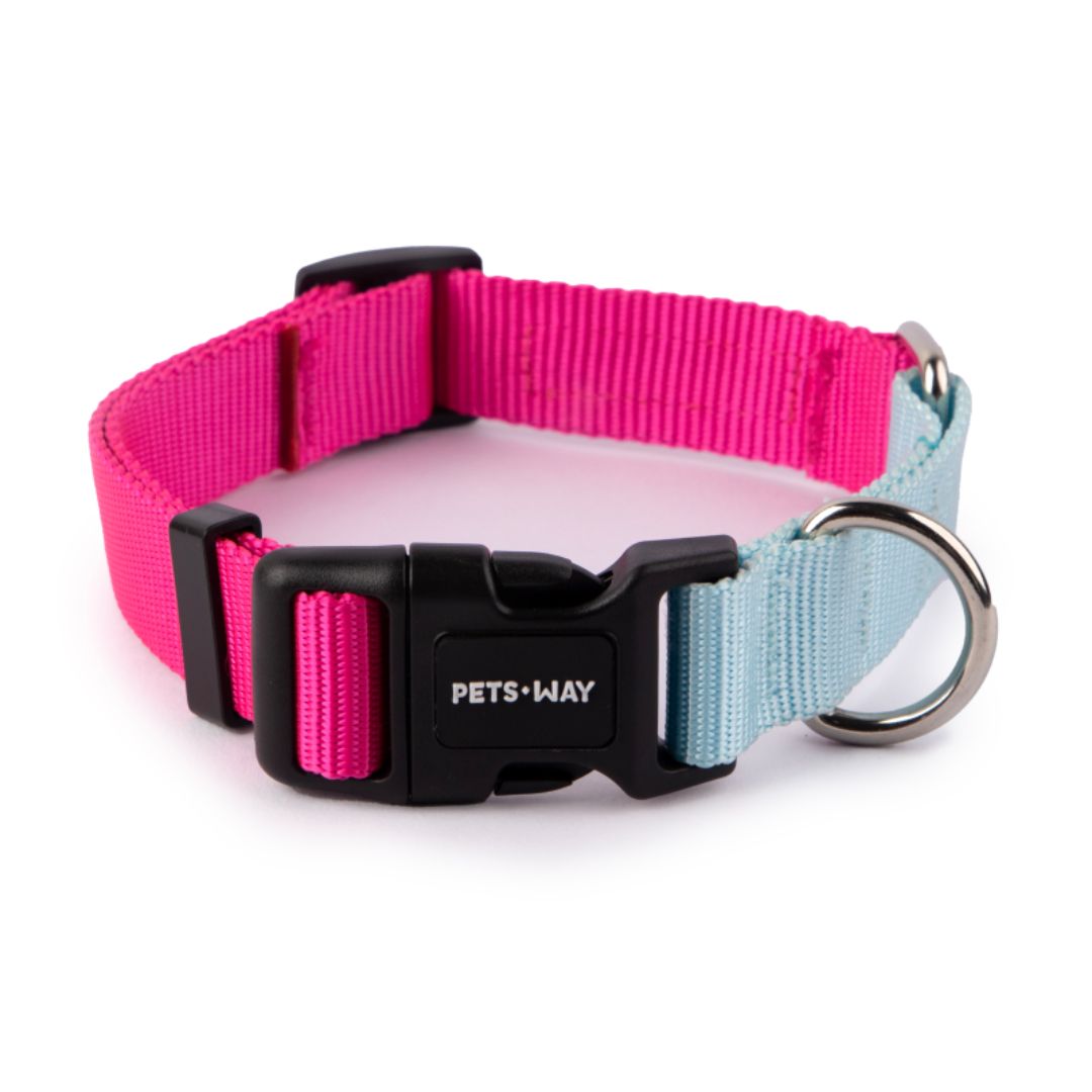 Fuschia & Sky: Dual Color Dog Collar-petsway