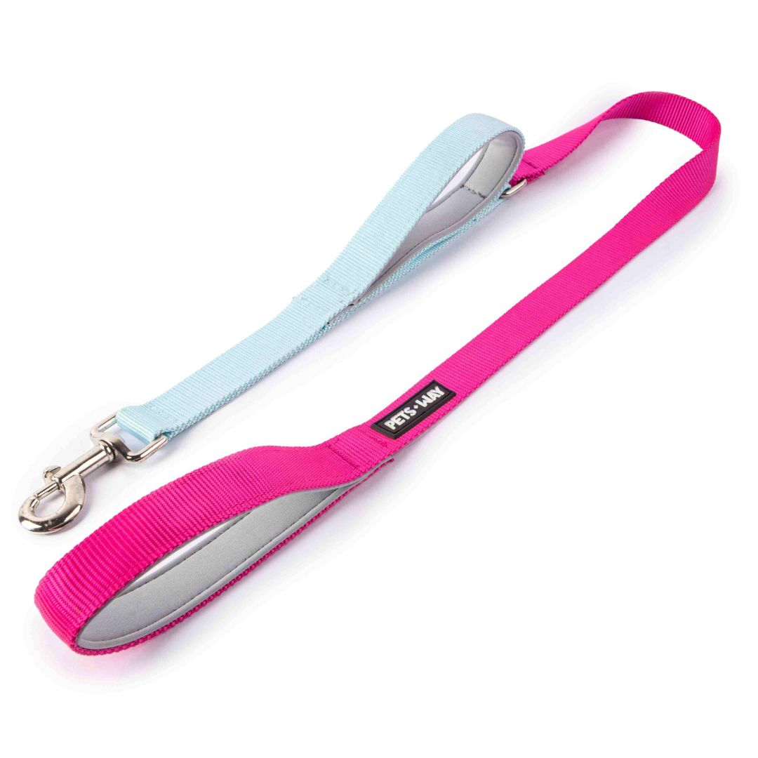 Fuschia & Sky Dual Handle Dog Leash