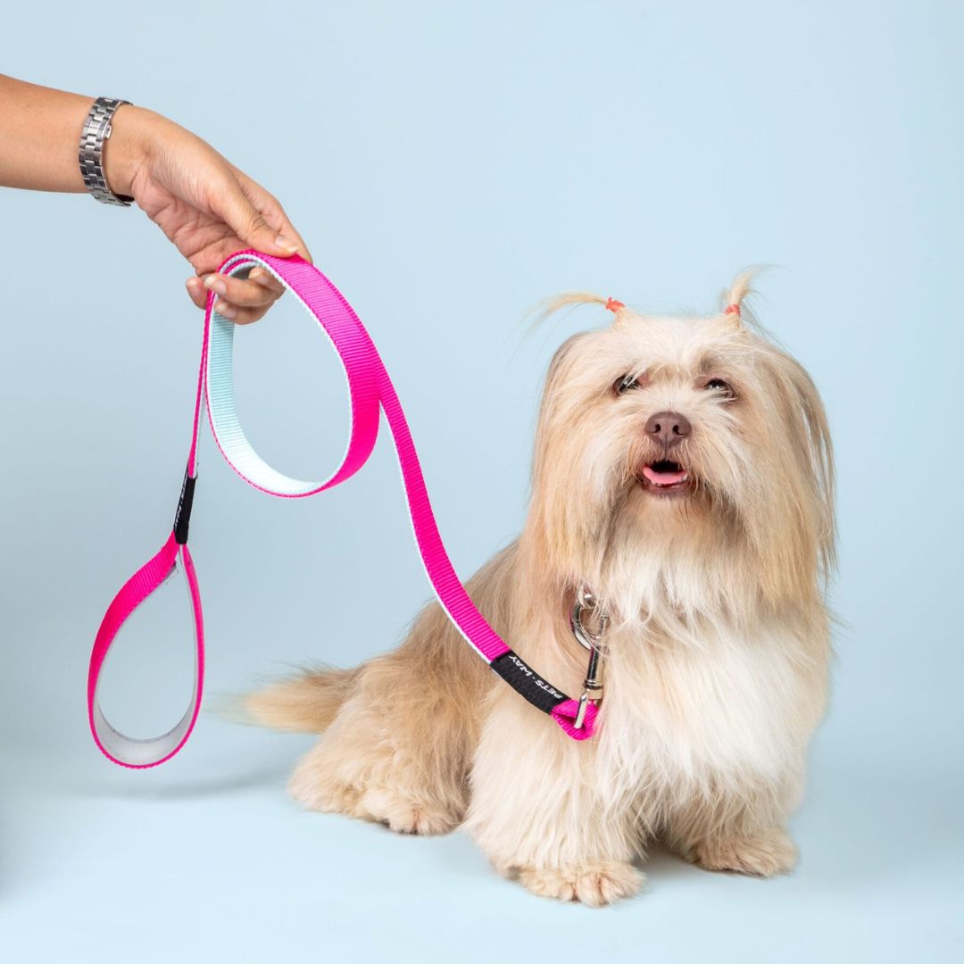 dog wear Fuschia & Sky Dual Color Dog Leash-petsway
