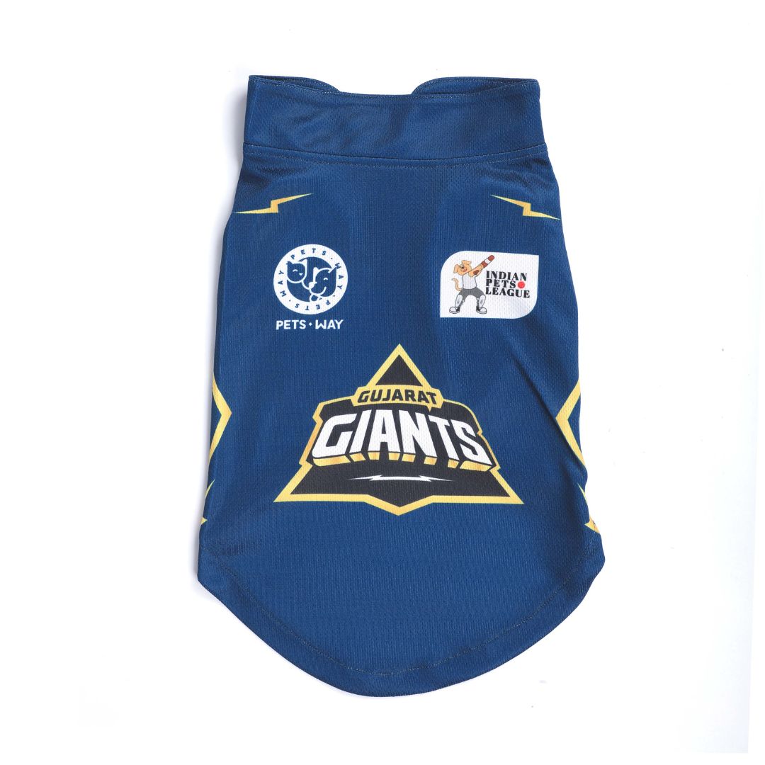 GT IPL Dog Jersey